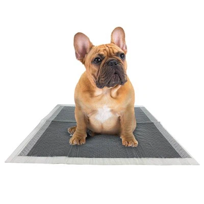 Sou entènèt jwèt Pee Pad Petsmart