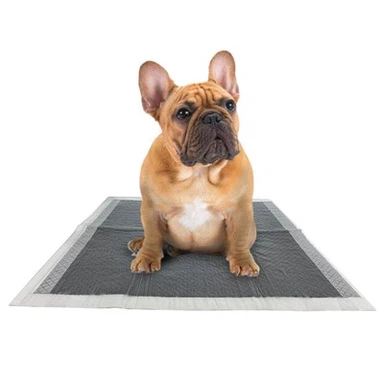 Sou entènèt jwèt Pee Pad Petsmart